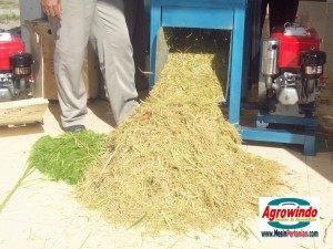 3918815928_ced47b2065_b-mesinbekasi